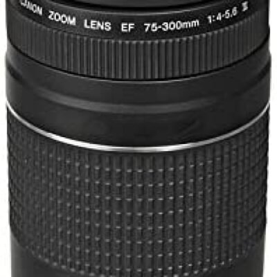 Canon EF 75-300mm f/4-5.6...