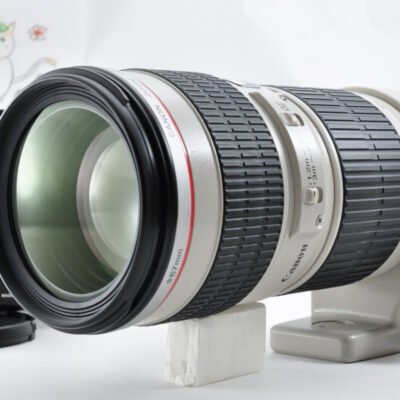 Canon EF 70-200mm F / 4 L 4L USM Non-IS Lens